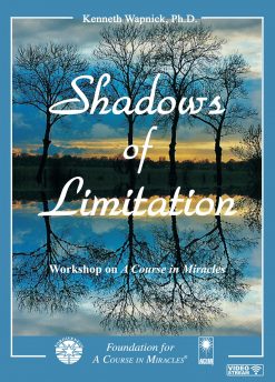 Shadows of Limitation [EHVIDEOSTR]