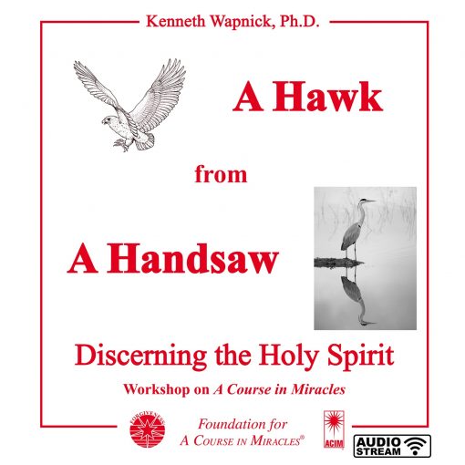 “A Hawk from a Handsaw”: Discerning the Holy Spirit [AUDIOSTR]