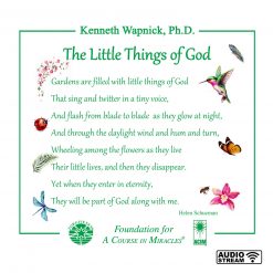“The Little Things of God” [AUDIOSTR]