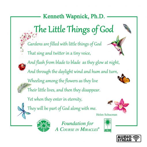 “The Little Things of God” [AUDIOSTR]