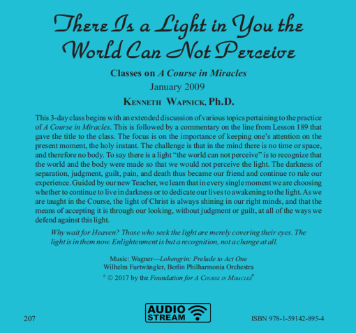 There Is a Light in You the World Can Not Perceive [AUDIOSTR] - Image 5